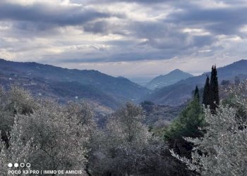 Vista - Terreno edificabile Località Zuardo, Perinaldo - foto 6