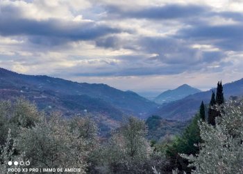 Vista - Terreno edificabile Località Zuardo, Perinaldo - foto 7