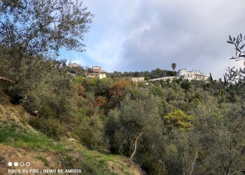 Vista - Terreno edificabile Località Zuardo, Perinaldo - foto 9