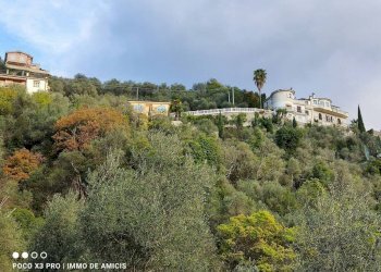 Vista - Terreno edificabile Località Zuardo, Perinaldo - foto 10