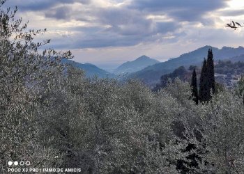 Vista - Terreno edificabile Località Zuardo, Perinaldo - foto 15