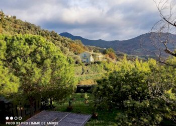 Vista - Terreno edificabile Località Zuardo, Perinaldo - foto 16