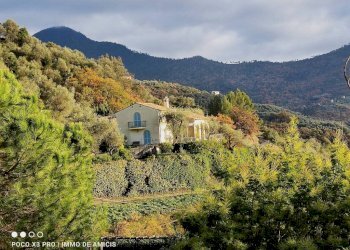 Vista - Terreno edificabile Località Zuardo, Perinaldo - foto 17