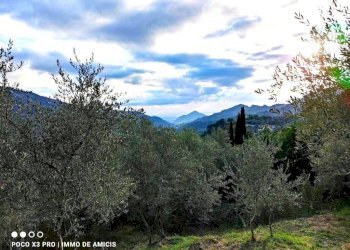 Terreno - Building land Località Zuardo, Perinaldo - photo 1