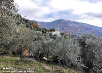 Vista - Building land Località Zuardo, Perinaldo - photo 13