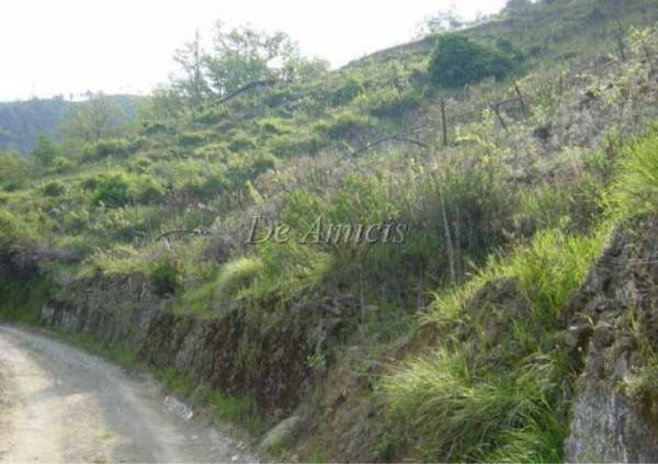 Terreno - Building land via San Martino, 17, Soldano - photo 2