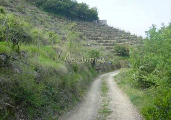 Accesso terreno - Building land via San Martino, 17, Soldano - photo 3