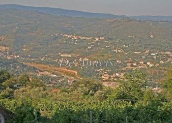 eto - Attività Commerciale via Fontana Rosa, 11, Imperia - foto 14