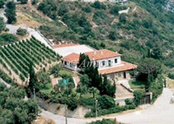 panoramica tenuta - Attività Commerciale via Fontana Rosa, 11, Imperia - foto 20