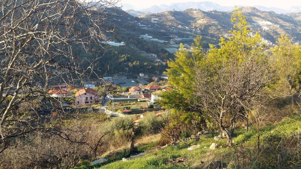 Vista - Agricultural land Località Guraba, Vallecrosia - photo 1