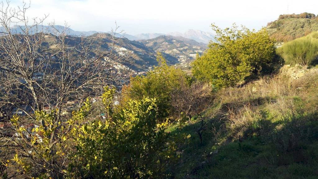Vista - Agricultural land Località Guraba, Vallecrosia - photo 2