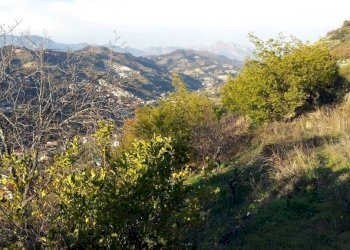 Vista - Terreno agricolo Località Guraba, Vallecrosia - foto 2