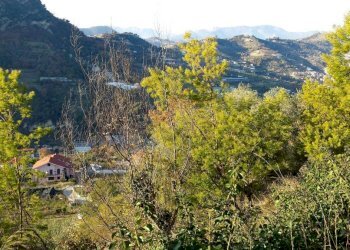 Vista - Terreno agricolo Località Guraba, Vallecrosia - foto 5