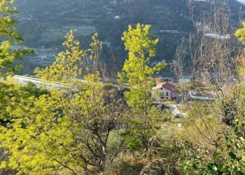 Vista - Terreno agricolo Località Guraba, Vallecrosia - foto 6