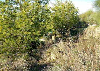 Terreno - Terreno agricolo Località Guraba, Vallecrosia - foto 7