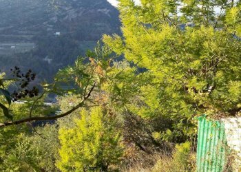 Vista - Terreno agricolo Località Guraba, Vallecrosia - foto 11