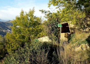 Terreno - Terreno agricolo Località Guraba, Vallecrosia - foto 12