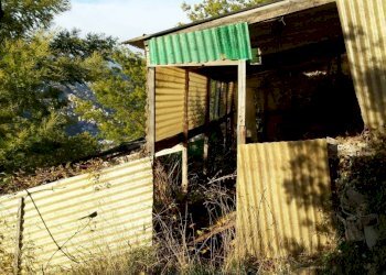 Terreno - Terreno agricolo Località Guraba, Vallecrosia - foto 13