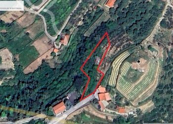 Mappa - Terreno agricolo Località Guraba, Vallecrosia - foto 14