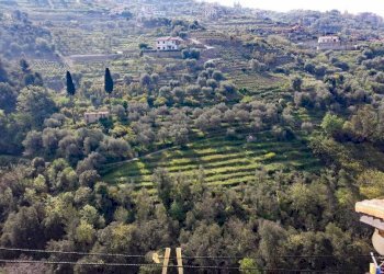 Vista - Quadrilocale piazza Guglielmo Marconi, 21, Vallebona - foto 7