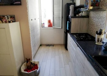 cucina - Quadrilocale Olivetta San Michele - foto 7