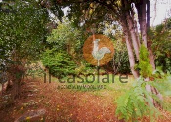 Terreno - Villa via Peschiera, 14, Cartoceto - foto 12