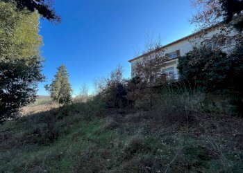 Terreno - Rustico Podere Poggio Martini, Trequanda - foto 10