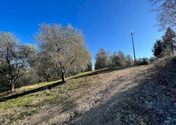 Terreno - Rustic Podere Poggio Martini, Trequanda - photo 13