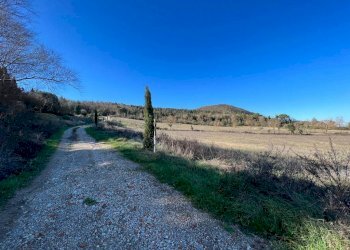 Terreno - Rustico Podere Poggio Martini, Trequanda - foto 16