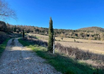 Terreno - Rustic Podere Poggio Martini, Trequanda - photo 18