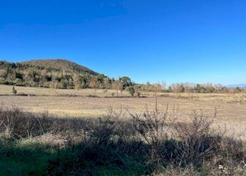 Terreno - Rustico Podere Poggio Martini, Trequanda - foto 19