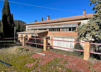 Terreno - Rustico Podere Poggio Martini, Trequanda - foto 1