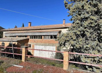 Terreno - Rustico Podere Poggio Martini, Trequanda - foto 3