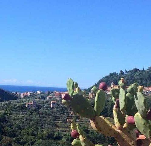 Appartamento Arcola - foto 1