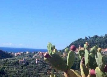 Appartamento Arcola - foto 1