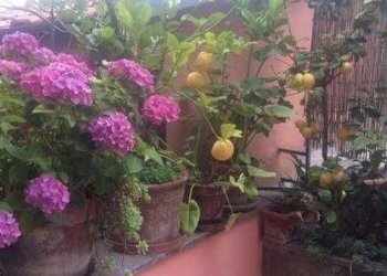 Appartamento Arcola - foto 7