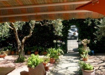 Villa Ameglia - photo 2