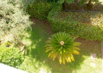 Villa Ameglia - photo 12