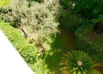 Villa Ameglia - photo 13