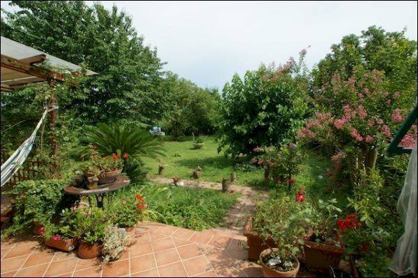 Villa Ameglia - foto 3