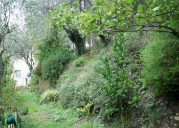 Quadrilocale Lerici - foto 5