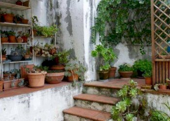 Quadrilocale Lerici - foto 14