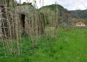 Rustico Fosdinovo - foto 4