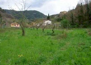 Rustico Fosdinovo - foto 5