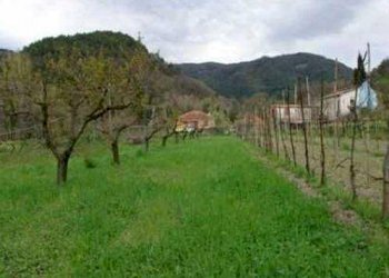 Rustic Fosdinovo - photo 6