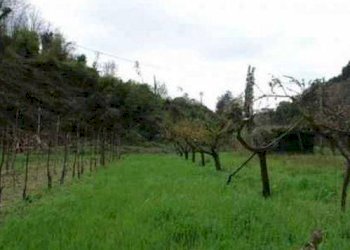 Rustico Fosdinovo - foto 7