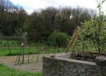 Rustico Fosdinovo - foto 9