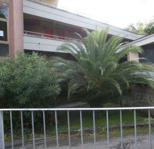 One-room apartment Ameglia - photo 2