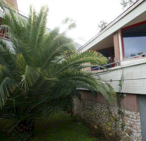 One-room apartment Ameglia - photo 3