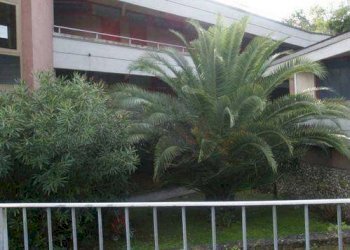 Monolocale Ameglia - foto 2